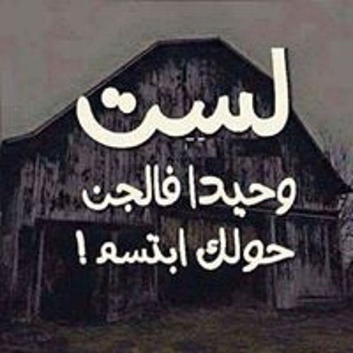 Miro Ramadan’s avatar