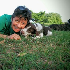 Elisabetta D'Aiutolo