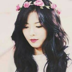 seo don