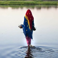 Hanan A. Amin