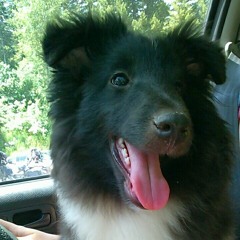 Meera Elisabeth Mennies