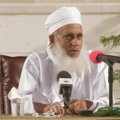 Sultan Saif
