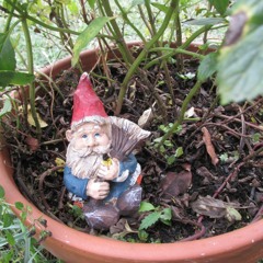 MysticValleyFestival