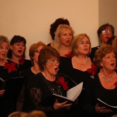 Aoide- A Choir for All