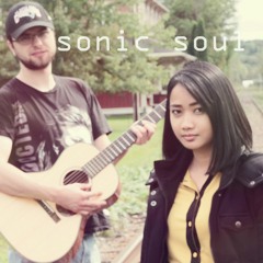 WE ARE SONIC SOUL