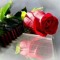basy