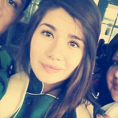 Atz plcs.