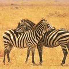 Nancy Moore- Fleming