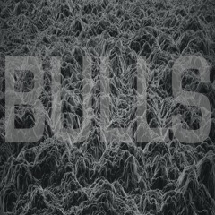 BULLS