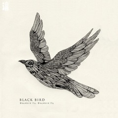 Little Blackbird