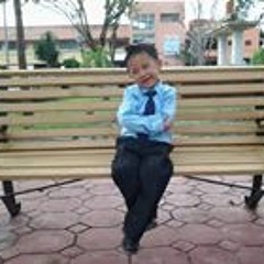 Ssecnirp Aroc Yatse Ajreb