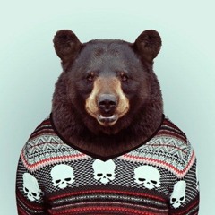bear sweater