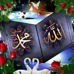 Said Bastawy