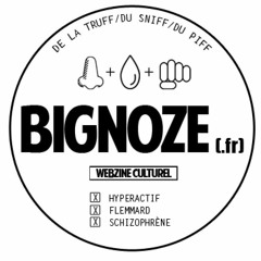 BIGNOZE WEBZINE