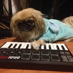G (Dog Composer)