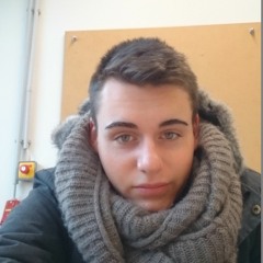 Maximilian_Schweiger