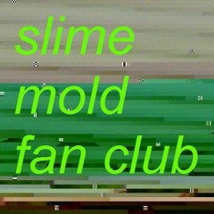 slime mold fan club