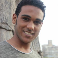 Adel Abd Elgawad III