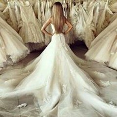 داليا الساهر