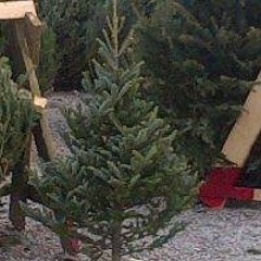 Michael Dino Denholm