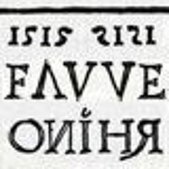 Fauve! Gegen A Rhino