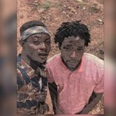 Orry PrepMaselph DaVinci