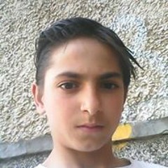 Владислав Вълков