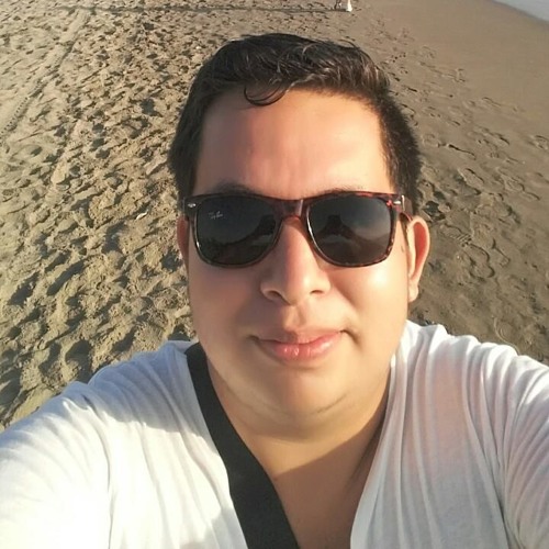 Manuel Sanchez Islas’s avatar