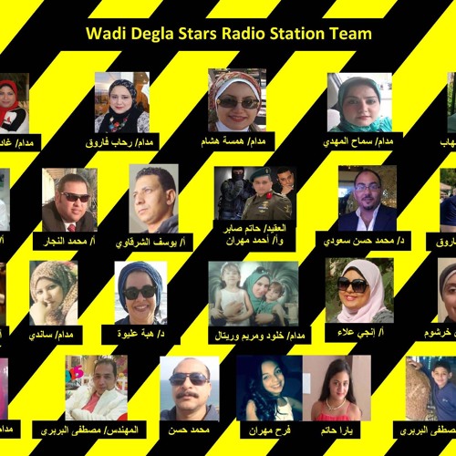 Wadi Degla Stars’s avatar