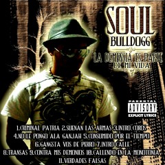 Luis Fernando Cardenas