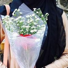 Aisya Rahma Fadhilla