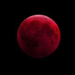 bloodmoonz