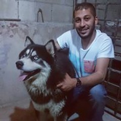 user538644135