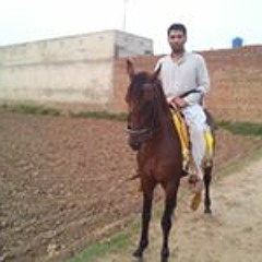 Nadeem Akhtar