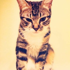 Sounds from Saturday evening