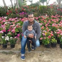 ياسين التهامي