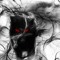 Immortal Blood Demon