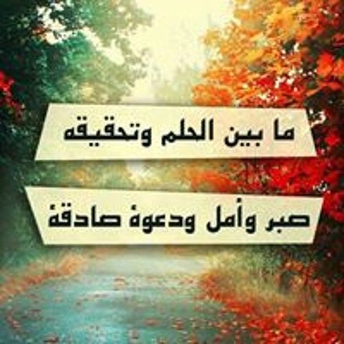 Nannoo Shalaby’s avatar