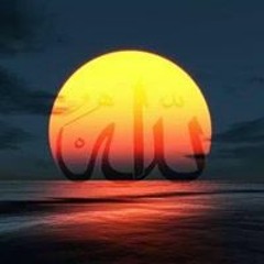 Mai Abd El Gawad