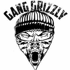 Gang Grizzly