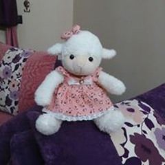 Safy Refaat