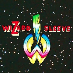 Wizard Sleeve