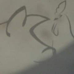 Francesco Tiger Pinto