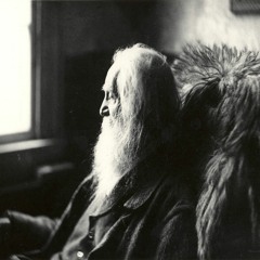 Sing The Body Electric