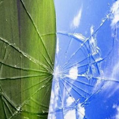 ‫רוני דובדבני‬‎