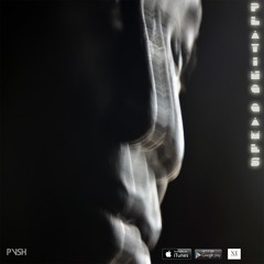 Pvsh