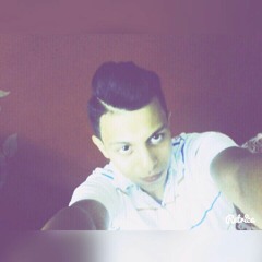 Mohamed M Hamza