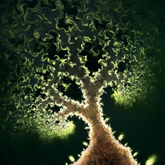 symphony