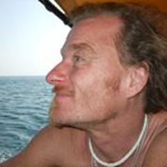 Lifetraveller Asiangecko