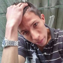 Nikolas Torres Ramos